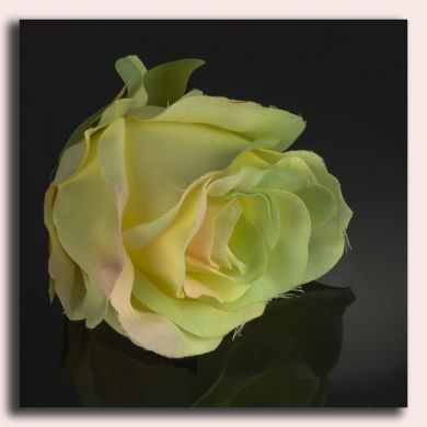 GR280 Róża - główka Cream/Green